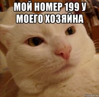 мой номер 199 у моего хозяйна 