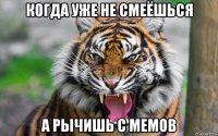 когда уже не смеёшься а рычишь с мемов