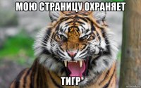 мою страницу охраняет тигр