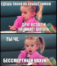 едешь такой на крыше зимой друг встает и начинает шатать ТЫ ЧЕ, БЕССМЕРТНЫЙ НАХУЙ?