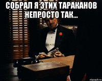 собрал я этих тараканов непросто так... 