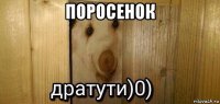 поросенок 