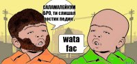 САЛАМАЛЕЙКУМ БРО, ти слишал ростик педик . wata fac