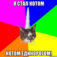 я стал котом котом единорогом!