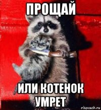 прощай или котенок умрет