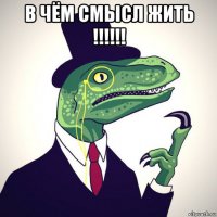 в чём смысл жить !!!!!! 