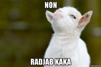 non radjab kaka