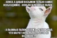 - алиса, а давай возьмем только самое необходимое - коньяк и лыжные палки... - а лыжные палки зачем? - я так и знал, что насчет коньяка вопросов не возникнет.