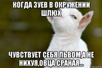 когда зуев в окружении шлюх чувствует себя львом,а не нихуя,овца сраная...