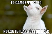 то самое чувство когда ты царь среди всех