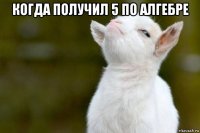 когда получил 5 по алгебре 