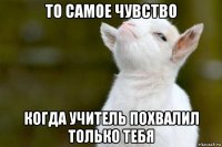 то самое чувство когда учитель похвалил только тебя