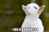  +100 к важности