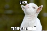 вжух теперь я умный