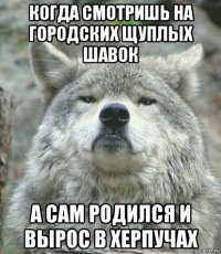 когда смотришь на городских щуплых шавок а сам родился и вырос в херпучах