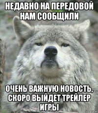 недавно на передовой нам сообщили очень важную новость, скоро выйдет трейлер игры