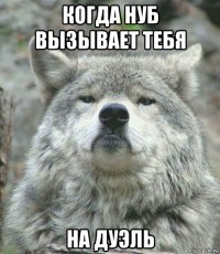 когда нуб вызывает тебя на дуэль