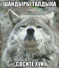 шандыры талдыка сосите хуй