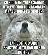 слышь ты ты чё забыл кто тут главный !? свали мразь, пока ты живой! так вот ! свалил быстро! а то как козла сожру!