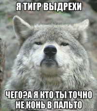 я тигр выдрехи чего?а я кто ты точно не конь в пальто