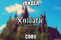 увидел сову