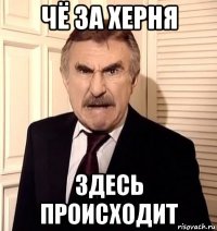 чё за херня здесь происходит