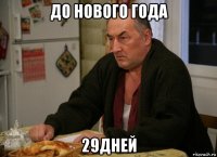 до нового года 29дней