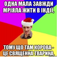 одна мала завжди мріяла жити в індії, тому що там корова - це священна тварина.