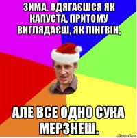 зима. одягаєшся як капуста, притому виглядаєш, як пінгвін, але все одно сука мерзнеш.