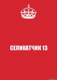 СЕЛИКАТЧИК 13