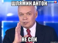 шлямин антон не спи