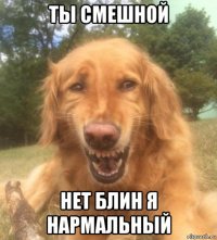 ты смешной нет блин я нармальный