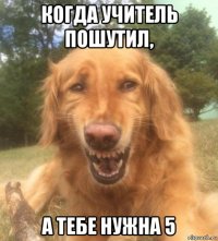 когда учитель пошутил, а тебе нужна 5