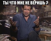 ты что мне не веришь ? 