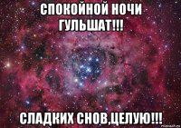 спокойной ночи гульшат!!! сладких снов,целую!!!