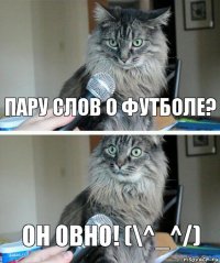 пару слов о футболе? он овно! (\^_^/)