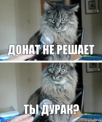 Донат не решает Ты дурак?