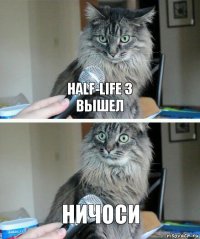 HALF-LIFE 3
ВЫШЕЛ НИЧОСИ