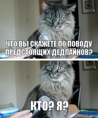 что вы скажете по поводу предстоящих дедлайнов? кто? я?