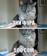 эки фура 500 сом