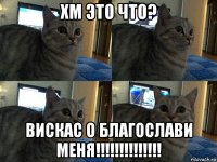 хм это что? вискас о благослави меня!!!!!!!!!!!!!!