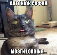 антонюк софия мозги loading...