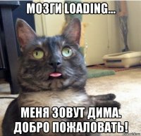 мозги loading... меня зовут дима. добро пожаловать!