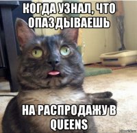 когда узнал, что опаздываешь на распродажу в queens