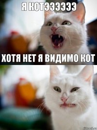 Я КОТЭЭЭЭЭЭ ХОТЯ НЕТ Я ВИДИМО КОТ