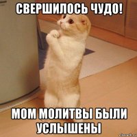 свершилось чудо! мом молитвы были услышены