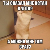 ты сказал мне встан в угол? а можно мне там срат?