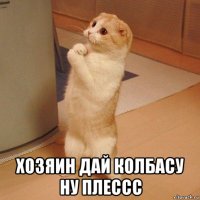  хозяин дай колбасу ну плессс