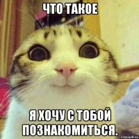 что такое я хочу с тобой познакомиться.