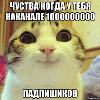 чуства когда у тебя наканале 1000000000 падпишиков